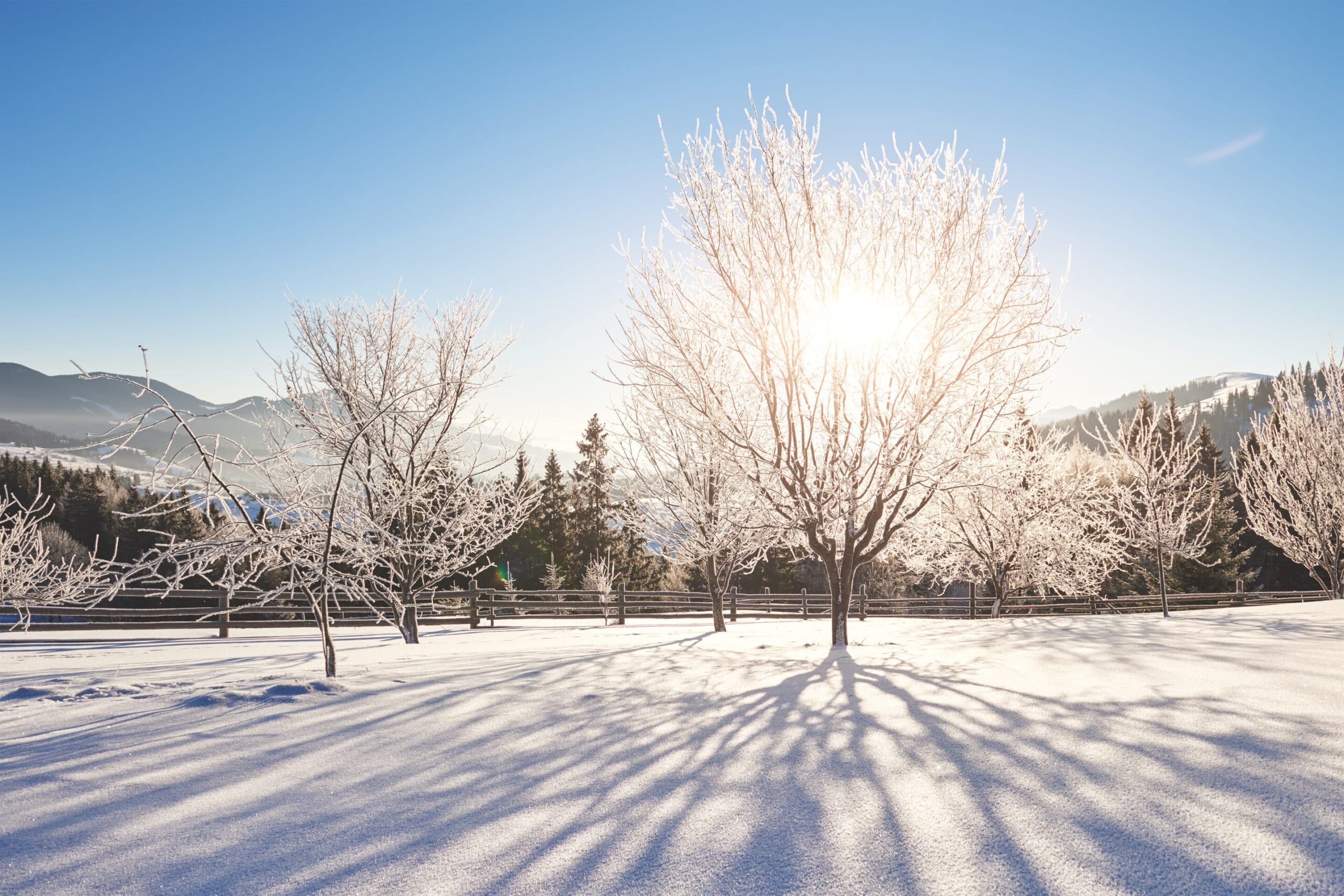 What Are Some Essential Winter Moving Tips for a Smooth Move
